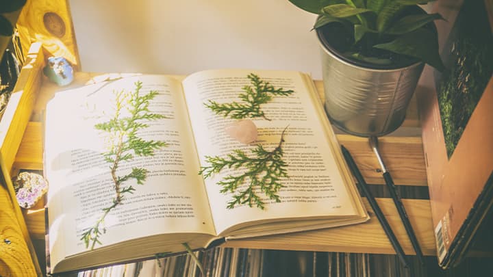 Plants on the book