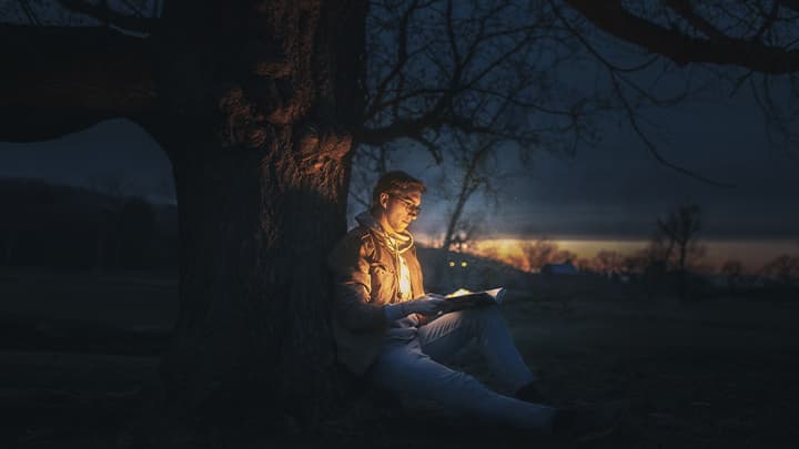 A man with a book under a tree